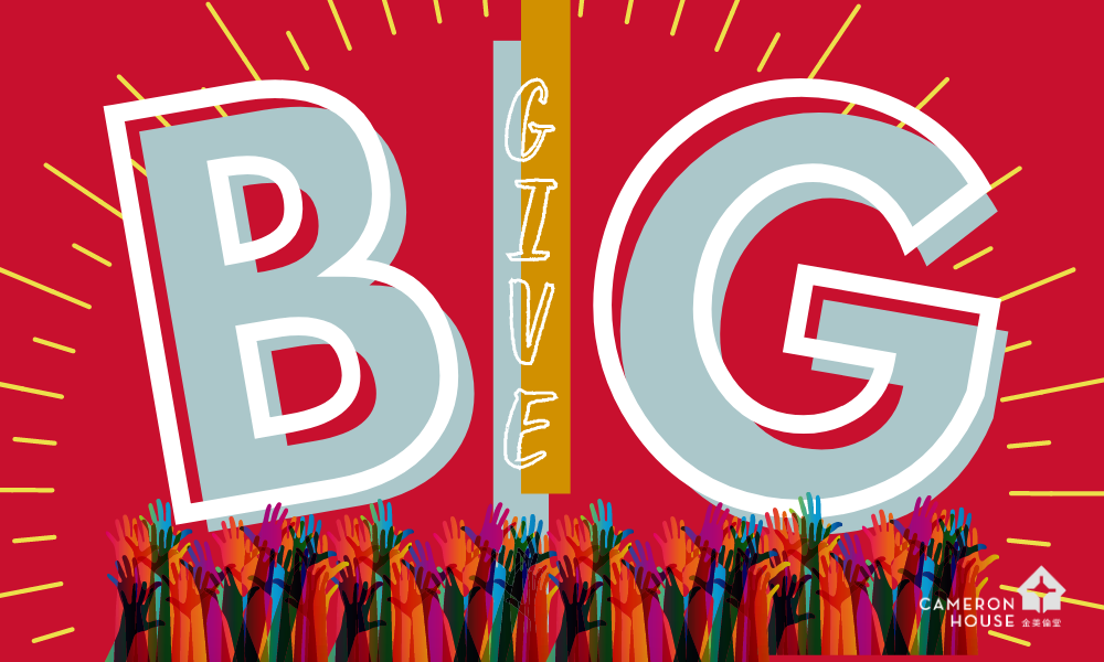 Big Give Website Banner